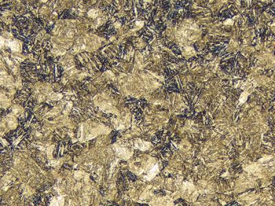 No visible grain boundaries