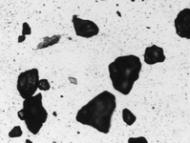 Particle sizing​​​​‌﻿‍﻿​‍​‍‌‍﻿﻿‌﻿​‍‌‍‍‌‌‍‌﻿‌‍‍‌‌‍﻿‍​‍​‍​﻿‍‍​‍​‍‌﻿​﻿‌‍​‌‌‍﻿‍‌‍‍‌‌﻿‌​‌﻿‍‌​‍﻿‍‌‍‍‌‌‍﻿﻿​‍​‍​‍﻿​​‍​‍‌‍‍​‌﻿​‍‌‍‌‌‌‍‌‍​‍​‍​﻿‍‍​‍​‍‌‍‍​‌﻿‌​‌﻿‌​‌﻿​​‌﻿​﻿​﻿‍‍​‍﻿﻿​‍﻿﻿‌‍​﻿‌‍﻿​‌‍‌‌‌‍﻿‌‌‍‌‌‌﻿‍​​‍﻿‌‌﻿​﻿‌﻿‌​‌﻿‌‌‌‍‌​‌‍‍‌‌‍﻿﻿​‍﻿‍‌﻿‌‍‌‍‌‌‌﻿​‍‌‍​﻿‌‍‌‌‌‍﻿​​‍﻿‍‌‍​‌‌﻿​​‌﻿​​​‍﻿﻿‌‍‍‌‌‍﻿‍‌﻿‌​‌‍‌‌‌‍﻿‍‌﻿‌​​‍﻿﻿‌‍‌‌‌‍‌​‌‍‍‌‌﻿‌​​‍﻿﻿‌‍﻿‌‌‍﻿﻿‌‍‌​‌‍‌‌​﻿﻿‌‌﻿​​‌﻿​‍‌‍‌‌‌﻿​﻿‌‍‌‌‌‍﻿‍‌﻿‌​‌‍​‌‌﻿‌​‌‍‍‌‌‍﻿﻿‌‍﻿‍​﻿‍﻿‌‍‍‌‌‍‌​​﻿﻿‌​﻿‍‌​﻿‌​‌‍​‍​﻿​​​﻿‌‌‌‍‌‍​﻿‌﻿‌‍‌‍​‍﻿‌‌‍‌‌​﻿‍‌‌‍​﻿​﻿​‌​‍﻿‌​﻿‌​​﻿​‌‌‍‌​‌‍​‌​‍﻿‌​﻿‍‌‌‍‌‌‌‍​‍​﻿​‌​‍﻿‌​﻿‌﻿​﻿‌​‌‍‌‍‌‍​‌​﻿​​​﻿‌‍​﻿‍​‌‍‌‍​﻿‌‌​﻿‍​​﻿​​‌‍​﻿​﻿‍﻿‌﻿‌​‌﻿‍‌‌﻿​​‌‍‌‌​﻿﻿‌‌﻿​​‌‍​‌‌‍‌﻿‌‍‌‌​﻿‍﻿‌﻿​​‌‍​‌‌﻿‌​‌‍‍​​﻿﻿‌‌﻿​​‌‍​‌‌‍‌﻿‌‍‌‌‌​​‍‌﻿‌‌‌‍‍‌‌‍﻿​‌‍‌​‌‍‌‌‌﻿​‍​‍‌‌​﻿‌‌‌​​‍‌‌﻿﻿‌‍‍﻿‌‍‌‌‌﻿‍‌​‍‌‌​﻿​﻿‌​‌​​‍‌‌​﻿​﻿‌​‌​​‍‌‌​﻿​‍​﻿​‍‌‍‌‌‌‍‌‌​﻿‍​​﻿‌﻿​﻿‌‍‌‍​‌​﻿‌﻿‌‍​‍​﻿​‌​﻿​‍​﻿‍‌​﻿‌‌​‍‌‌​﻿​‍​﻿​‍​‍‌‌​﻿‌‌‌​‌​​‍﻿‍‌‍​﻿‌‍​‌‌﻿​‍‌‍‌​‌﻿​﻿​‍‌‌​﻿‌‌‌​​‍‌‌﻿﻿‌‍‍﻿‌‍‌‌‌﻿‍‌​‍‌‌​﻿​﻿‌​‌​​‍‌‌​﻿​﻿‌​‌​​‍‌‌​﻿​‍​﻿​‍​﻿​‌​﻿‍​‌‍​‌​﻿‍‌‌‍​﻿​﻿‍​‌‍​‌​﻿‌​​﻿‌‍​﻿‌​​﻿​‍​﻿‍‌​‍‌‌​﻿​‍​﻿​‍​‍‌‌​﻿‌‌‌​‌​​‍﻿‍‌﻿‌​‌‍‍‌‌﻿‌​‌‍﻿​‌‍‌‌​﻿﻿﻿‌‍​‍‌‍​‌‌﻿​﻿‌‍‌‌‌‌‌‌‌﻿​‍‌‍﻿​​﻿﻿‌‌‍‍​‌﻿‌​‌﻿‌​‌﻿​​‌﻿​﻿​‍‌‌​﻿​﻿‌​​‌​‍‌‌​﻿​‍‌​‌‍​‍‌‌​﻿​‍‌​‌‍‌‍​﻿‌‍﻿​‌‍‌‌‌‍﻿‌‌‍‌‌‌﻿‍​​‍﻿‌‌﻿​﻿‌﻿‌​‌﻿‌‌‌‍‌​‌‍‍‌‌‍﻿﻿​‍﻿‍‌﻿‌‍‌‍‌‌‌﻿​‍‌‍​﻿‌‍‌‌‌‍﻿​​‍﻿‍‌‍​‌‌﻿​​‌﻿​​​‍‌‍‌‍‍‌‌‍‌​​﻿﻿‌​﻿‍‌​﻿‌​‌‍​‍​﻿​​​﻿‌‌‌‍‌‍​﻿‌﻿‌‍‌‍​‍﻿‌‌‍‌‌​﻿‍‌‌‍​﻿​﻿​‌​‍﻿‌​﻿‌​​﻿​‌‌‍‌​‌‍​‌​‍﻿‌​﻿‍‌‌‍‌‌‌‍​‍​﻿​‌​‍﻿‌​﻿‌﻿​﻿‌​‌‍‌‍‌‍​‌​﻿​​​﻿‌‍​﻿‍​‌‍‌‍​﻿‌‌​﻿‍​​﻿​​‌‍​﻿​‍‌‍‌﻿‌​‌﻿‍‌‌﻿​​‌‍‌‌​﻿﻿‌‌﻿​​‌‍​‌‌‍‌﻿‌‍‌‌​‍‌‍‌﻿​​‌‍​‌‌﻿‌​‌‍‍​​﻿﻿‌‌﻿​​‌‍​‌‌‍‌﻿‌‍‌‌‌​​‍‌﻿‌‌‌‍‍‌‌‍﻿​‌‍‌​‌‍‌‌‌﻿​‍​‍‌‌​﻿‌‌‌​​‍‌‌﻿﻿‌‍‍﻿‌‍‌‌‌﻿‍‌​‍‌‌​﻿​﻿‌​‌​​‍‌‌​﻿​﻿‌​‌​​‍‌‌​﻿​‍​﻿​‍‌‍‌‌‌‍‌‌​﻿‍​​﻿‌﻿​﻿‌‍‌‍​‌​﻿‌﻿‌‍​‍​﻿​‌​﻿​‍​﻿‍‌​﻿‌‌​‍‌‌​﻿​‍​﻿​‍​‍‌‌​﻿‌‌‌​‌​​‍﻿‍‌‍​﻿‌‍​‌‌﻿​‍‌‍‌​‌﻿​﻿​‍‌‌​﻿‌‌‌​​‍‌‌﻿﻿‌‍‍﻿‌‍‌‌‌﻿‍‌​‍‌‌​﻿​﻿‌​‌​​‍‌‌​﻿​﻿‌​‌​​‍‌‌​﻿​‍​﻿​‍​﻿​‌​﻿‍​‌‍​‌​﻿‍‌‌‍​﻿​﻿‍​‌‍​‌​﻿‌​​﻿‌‍​﻿‌​​﻿​‍​﻿‍‌​‍‌‌​﻿​‍​﻿​‍​‍‌‌​﻿‌‌‌​‌​​‍﻿‍‌﻿‌​‌‍‍‌‌﻿‌​‌‍﻿​‌‍‌‌​‍‌‍‌﻿​​‌‍‌‌‌﻿​‍‌﻿​﻿‌﻿​​‌‍‌‌‌‍​﻿‌﻿‌​‌‍‍‌‌﻿‌‍‌‍‌‌​﻿﻿‌‌﻿​​‌﻿‌‌‌‍​‍‌‍﻿​‌‍‍‌‌﻿​﻿‌‍‍​‌‍‌‌‌‍‌​​‍​‍‌﻿﻿‌