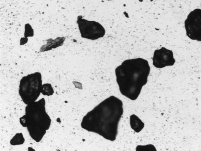 Rough particles​​​​‌﻿‍﻿​‍​‍‌‍﻿﻿‌﻿​‍‌‍‍‌‌‍‌﻿‌‍‍‌‌‍﻿‍​‍​‍​﻿‍‍​‍​‍‌﻿​﻿‌‍​‌‌‍﻿‍‌‍‍‌‌﻿‌​‌﻿‍‌​‍﻿‍‌‍‍‌‌‍﻿﻿​‍​‍​‍﻿​​‍​‍‌‍‍​‌﻿​‍‌‍‌‌‌‍‌‍​‍​‍​﻿‍‍​‍​‍‌‍‍​‌﻿‌​‌﻿‌​‌﻿​​‌﻿​﻿​﻿‍‍​‍﻿﻿​‍﻿﻿‌‍​﻿‌‍﻿​‌‍‌‌‌‍﻿‌‌‍‌‌‌﻿‍​​‍﻿‌‌﻿​﻿‌﻿‌​‌﻿‌‌‌‍‌​‌‍‍‌‌‍﻿﻿​‍﻿‍‌﻿‌‍‌‍‌‌‌﻿​‍‌‍​﻿‌‍‌‌‌‍﻿​​‍﻿‍‌‍​‌‌﻿​​‌﻿​​​‍﻿﻿‌‍‍‌‌‍﻿‍‌﻿‌​‌‍‌‌‌‍﻿‍‌﻿‌​​‍﻿﻿‌‍‌‌‌‍‌​‌‍‍‌‌﻿‌​​‍﻿﻿‌‍﻿‌‌‍﻿﻿‌‍‌​‌‍‌‌​﻿﻿‌‌﻿​​‌﻿​‍‌‍‌‌‌﻿​﻿‌‍‌‌‌‍﻿‍‌﻿‌​‌‍​‌‌﻿‌​‌‍‍‌‌‍﻿﻿‌‍﻿‍​﻿‍﻿‌‍‍‌‌‍‌​​﻿﻿‌​﻿​‍​﻿​‍​﻿‌‌​﻿‌‍​﻿‌‍​﻿​​​﻿‌﻿‌‍​﻿​‍﻿‌​﻿​‍​﻿‌​​﻿‌﻿​﻿​​​‍﻿‌​﻿‌​‌‍​‌‌‍​‍​﻿​‍​‍﻿‌‌‍​‍​﻿​‍​﻿‌‍‌‍‌​​‍﻿‌​﻿​​​﻿‍​‌‍‌‍‌‍​﻿‌‍​﻿​﻿‍‌​﻿​﻿​﻿‍‌​﻿‍​​﻿‌​‌‍‌​‌‍‌‍​﻿‍﻿‌﻿‌​‌﻿‍‌‌﻿​​‌‍‌‌​﻿﻿‌‌‍​‌‌﻿​​‌﻿​​‌‍﻿​‌‍‍‌‌‍​﻿‌‍​‌‌﻿‌​‌‍‍‌‌‍﻿﻿‌‍﻿‍​﻿‍﻿‌﻿​​‌‍​‌‌﻿‌​‌‍‍​​﻿﻿‌‌﻿​​‌‍​‌‌‍‌﻿‌‍‌‌‌​​‍‌﻿‌‌‌‍‍‌‌‍﻿​‌‍‌​‌‍‌‌‌﻿​‍​‍‌‌​﻿‌‌‌​​‍‌‌﻿﻿‌‍‍﻿‌‍‌‌‌﻿‍‌​‍‌‌​﻿​﻿‌​‌​​‍‌‌​﻿​﻿‌​‌​​‍‌‌​﻿​‍​﻿​‍​﻿​​​﻿‌‍‌‍‌‌​﻿​‍‌‍‌‍‌‍​‌​﻿​​​﻿​‌​﻿​‌‌‍‌‍‌‍​‍‌‍​﻿​‍‌‌​﻿​‍​﻿​‍​‍‌‌​﻿‌‌‌​‌​​‍﻿‍‌‍​﻿‌‍​‌‌﻿​‍‌‍‌​‌﻿​﻿​‍‌‌​﻿‌‌‌​​‍‌‌﻿﻿‌‍‍﻿‌‍‌‌‌﻿‍‌​‍‌‌​﻿​﻿‌​‌​​‍‌‌​﻿​﻿‌​‌​​‍‌‌​﻿​‍​﻿​‍​﻿​​​﻿‍‌​﻿‌‌​﻿‍‌​﻿‌​‌‍‌​​﻿‍‌​﻿‌‍‌‍‌‌​﻿‌‌​﻿​﻿​﻿​﻿​‍‌‌​﻿​‍​﻿​‍​‍‌‌​﻿‌‌‌​‌​​‍﻿‍‌﻿‌​‌‍‍‌‌﻿‌​‌‍﻿​‌‍‌‌​﻿﻿﻿‌‍​‍‌‍​‌‌﻿​﻿‌‍‌‌‌‌‌‌‌﻿​‍‌‍﻿​​﻿﻿‌‌‍‍​‌﻿‌​‌﻿‌​‌﻿​​‌﻿​﻿​‍‌‌​﻿​﻿‌​​‌​‍‌‌​﻿​‍‌​‌‍​‍‌‌​﻿​‍‌​‌‍‌‍​﻿‌‍﻿​‌‍‌‌‌‍﻿‌‌‍‌‌‌﻿‍​​‍﻿‌‌﻿​﻿‌﻿‌​‌﻿‌‌‌‍‌​‌‍‍‌‌‍﻿﻿​‍﻿‍‌﻿‌‍‌‍‌‌‌﻿​‍‌‍​﻿‌‍‌‌‌‍﻿​​‍﻿‍‌‍​‌‌﻿​​‌﻿​​​‍‌‍‌‍‍‌‌‍‌​​﻿﻿‌​﻿​‍​﻿​‍​﻿‌‌​﻿‌‍​﻿‌‍​﻿​​​﻿‌﻿‌‍​﻿​‍﻿‌​﻿​‍​﻿‌​​﻿‌﻿​﻿​​​‍﻿‌​﻿‌​‌‍​‌‌‍​‍​﻿​‍​‍﻿‌‌‍​‍​﻿​‍​﻿‌‍‌‍‌​​‍﻿‌​﻿​​​﻿‍​‌‍‌‍‌‍​﻿‌‍​﻿​﻿‍‌​﻿​﻿​﻿‍‌​﻿‍​​﻿‌​‌‍‌​‌‍‌‍​‍‌‍‌﻿‌​‌﻿‍‌‌﻿​​‌‍‌‌​﻿﻿‌‌‍​‌‌﻿​​‌﻿​​‌‍﻿​‌‍‍‌‌‍​﻿‌‍​‌‌﻿‌​‌‍‍‌‌‍﻿﻿‌‍﻿‍​‍‌‍‌﻿​​‌‍​‌‌﻿‌​‌‍‍​​﻿﻿‌‌﻿​​‌‍​‌‌‍‌﻿‌‍‌‌‌​​‍‌﻿‌‌‌‍‍‌‌‍﻿​‌‍‌​‌‍‌‌‌﻿​‍​‍‌‌​﻿‌‌‌​​‍‌‌﻿﻿‌‍‍﻿‌‍‌‌‌﻿‍‌​‍‌‌​﻿​﻿‌​‌​​‍‌‌​﻿​﻿‌​‌​​‍‌‌​﻿​‍​﻿​‍​﻿​​​﻿‌‍‌‍‌‌​﻿​‍‌‍‌‍‌‍​‌​﻿​​​﻿​‌​﻿​‌‌‍‌‍‌‍​‍‌‍​﻿​‍‌‌​﻿​‍​﻿​‍​‍‌‌​﻿‌‌‌​‌​​‍﻿‍‌‍​﻿‌‍​‌‌﻿​‍‌‍‌​‌﻿​﻿​‍‌‌​﻿‌‌‌​​‍‌‌﻿﻿‌‍‍﻿‌‍‌‌‌﻿‍‌​‍‌‌​﻿​﻿‌​‌​​‍‌‌​﻿​﻿‌​‌​​‍‌‌​﻿​‍​﻿​‍​﻿​​​﻿‍‌​﻿‌‌​﻿‍‌​﻿‌​‌‍‌​​﻿‍‌​﻿‌‍‌‍‌‌​﻿‌‌​﻿​﻿​﻿​﻿​‍‌‌​﻿​‍​﻿​‍​‍‌‌​﻿‌‌‌​‌​​‍﻿‍‌﻿‌​‌‍‍‌‌﻿‌​‌‍﻿​‌‍‌‌​‍‌‍‌﻿​​‌‍‌‌‌﻿​‍‌﻿​﻿‌﻿​​‌‍‌‌‌‍​﻿‌﻿‌​‌‍‍‌‌﻿‌‍‌‍‌‌​﻿﻿‌‌﻿​​‌﻿‌‌‌‍​‍‌‍﻿​‌‍‍‌‌﻿​﻿‌‍‍​‌‍‌‌‌‍‌​​‍​‍‌﻿﻿‌