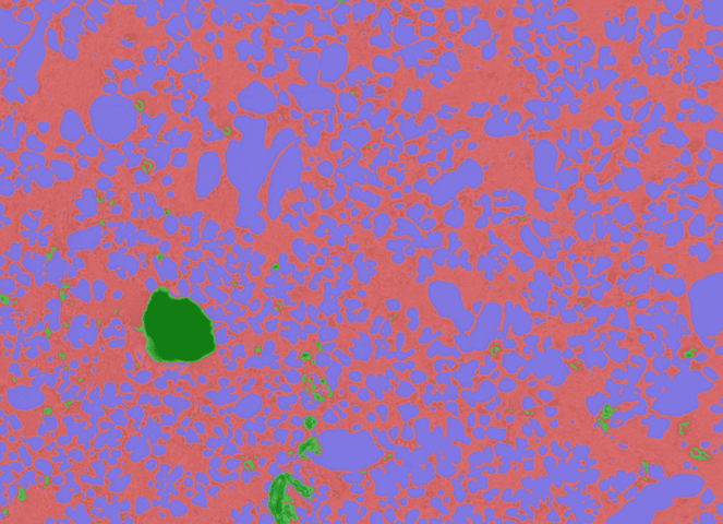 Image analysis for microscopy made simple with machine learning​​​​‌﻿‍﻿​‍​‍‌‍﻿﻿‌﻿​‍‌‍‍‌‌‍‌﻿‌‍‍‌‌‍﻿‍​‍​‍​﻿‍‍​‍​‍‌﻿​﻿‌‍​‌‌‍﻿‍‌‍‍‌‌﻿‌​‌﻿‍‌​‍﻿‍‌‍‍‌‌‍﻿﻿​‍​‍​‍﻿​​‍​‍‌‍‍​‌﻿​‍‌‍‌‌‌‍‌‍​‍​‍​﻿‍‍​‍​‍‌‍‍​‌﻿‌​‌﻿‌​‌﻿​​‌﻿​﻿​﻿‍‍​‍﻿﻿​‍﻿﻿‌‍​﻿‌‍﻿​‌‍‌‌‌‍﻿‌‌‍‌‌‌﻿‍​​‍﻿‌‌﻿​﻿‌﻿‌​‌﻿‌‌‌‍‌​‌‍‍‌‌‍﻿﻿​‍﻿‍‌﻿‌‍‌‍‌‌‌﻿​‍‌‍​﻿‌‍‌‌‌‍﻿​​‍﻿‍‌‍​‌‌﻿​​‌﻿​​​‍﻿﻿‌‍‍‌‌‍﻿‍‌﻿‌​‌‍‌‌‌‍﻿‍‌﻿‌​​‍﻿﻿‌‍‌‌‌‍‌​‌‍‍‌‌﻿‌​​‍﻿﻿‌‍﻿‌‌‍﻿﻿‌‍‌​‌‍‌‌​﻿﻿‌‌﻿​​‌﻿​‍‌‍‌‌‌﻿​﻿‌‍‌‌‌‍﻿‍‌﻿‌​‌‍​‌‌﻿‌​‌‍‍‌‌‍﻿﻿‌‍﻿‍​﻿‍﻿‌‍‍‌‌‍‌​​﻿﻿‌​﻿‌​‌‍​﻿​﻿​‌​﻿‌‌​﻿‌‌​﻿​‍‌‍​‍‌‍‌​​‍﻿‌‌‍‌​‌‍​﻿​﻿‌​‌‍​﻿​‍﻿‌​﻿‌​‌‍‌​​﻿​​‌‍‌‌​‍﻿‌​﻿‍​​﻿​﻿​﻿​‌​﻿‌﻿​‍﻿‌​﻿​​‌‍​‍‌‍​﻿‌‍‌‌​﻿‌‍​﻿‌‍‌‍‌​‌‍‌‌​﻿​‌​﻿​‌​﻿‍​​﻿‌​​﻿‍﻿‌﻿‌​‌﻿‍‌‌﻿​​‌‍‌‌​﻿﻿‌‌‍​‍‌‍﻿​‌‍﻿﻿‌‍‌﻿​﻿‍﻿‌﻿​​‌‍​‌‌﻿‌​‌‍‍​​﻿﻿‌‌﻿‌​‌‍‍‌‌﻿‌​‌‍﻿​‌‍‌‌​﻿﻿﻿‌‍​‍‌‍​‌‌﻿​﻿‌‍‌‌‌‌‌‌‌﻿​‍‌‍﻿​​﻿﻿‌‌‍‍​‌﻿‌​‌﻿‌​‌﻿​​‌﻿​﻿​‍‌‌​﻿​﻿‌​​‌​‍‌‌​﻿​‍‌​‌‍​‍‌‌​﻿​‍‌​‌‍‌‍​﻿‌‍﻿​‌‍‌‌‌‍﻿‌‌‍‌‌‌﻿‍​​‍﻿‌‌﻿​﻿‌﻿‌​‌﻿‌‌‌‍‌​‌‍‍‌‌‍﻿﻿​‍﻿‍‌﻿‌‍‌‍‌‌‌﻿​‍‌‍​﻿‌‍‌‌‌‍﻿​​‍﻿‍‌‍​‌‌﻿​​‌﻿​​​‍‌‍‌‍‍‌‌‍‌​​﻿﻿‌​﻿‌​‌‍​﻿​﻿​‌​﻿‌‌​﻿‌‌​﻿​‍‌‍​‍‌‍‌​​‍﻿‌‌‍‌​‌‍​﻿​﻿‌​‌‍​﻿​‍﻿‌​﻿‌​‌‍‌​​﻿​​‌‍‌‌​‍﻿‌​﻿‍​​﻿​﻿​﻿​‌​﻿‌﻿​‍﻿‌​﻿​​‌‍​‍‌‍​﻿‌‍‌‌​﻿‌‍​﻿‌‍‌‍‌​‌‍‌‌​﻿​‌​﻿​‌​﻿‍​​﻿‌​​‍‌‍‌﻿‌​‌﻿‍‌‌﻿​​‌‍‌‌​﻿﻿‌‌‍​‍‌‍﻿​‌‍﻿﻿‌‍‌﻿​‍‌‍‌﻿​​‌‍​‌‌﻿‌​‌‍‍​​﻿﻿‌‌﻿‌​‌‍‍‌‌﻿‌​‌‍﻿​‌‍‌‌​‍‌‍‌﻿​​‌‍‌‌‌﻿​‍‌﻿​﻿‌﻿​​‌‍‌‌‌‍​﻿‌﻿‌​‌‍‍‌‌﻿‌‍‌‍‌‌​﻿﻿‌‌﻿​​‌﻿‌‌‌‍​‍‌‍﻿​‌‍‍‌‌﻿​﻿‌‍‍​‌‍‌‌‌‍‌​​‍​‍‌﻿﻿‌