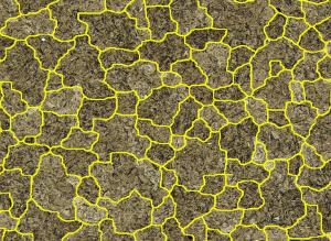 Martensitic grain size instructionโโโโโ๏ปฟโ๏ปฟโโโโโโ๏ปฟ๏ปฟโ๏ปฟโโโโโโโโโ๏ปฟโโโโโโ๏ปฟโโโโโโ๏ปฟโโโโโโโ๏ปฟโ๏ปฟโโโโโโ๏ปฟโโโโโโ๏ปฟโโโ๏ปฟโโโโ๏ปฟโโโโโโโ๏ปฟ๏ปฟโโโโโโ๏ปฟโโโโโโโโโโ๏ปฟโโโโโโโโโโโโโโโ๏ปฟโโโโโโโโโโโ๏ปฟโโโ๏ปฟโโโ๏ปฟโโโ๏ปฟโ๏ปฟโ๏ปฟโโโโ๏ปฟ๏ปฟโโ๏ปฟ๏ปฟโโโ๏ปฟโโ๏ปฟโโโโโโโ๏ปฟโโโโโโ๏ปฟโโโโ๏ปฟโโ๏ปฟโ๏ปฟโ๏ปฟโโโ๏ปฟโโโโโโโโโโโโ๏ปฟ๏ปฟโโ๏ปฟโโ๏ปฟโโโโโโโ๏ปฟโโโโโ๏ปฟโโโโโโ๏ปฟโโโ๏ปฟโโโโโโ๏ปฟโโโ๏ปฟโโโโ๏ปฟ๏ปฟโโโโโโ๏ปฟโโ๏ปฟโโโโโโโโ๏ปฟโโ๏ปฟโโโโ๏ปฟ๏ปฟโโโโโโโโโโโโโ๏ปฟโโโโ๏ปฟ๏ปฟโโ๏ปฟโโโ๏ปฟ๏ปฟโโโโโโโโโ๏ปฟ๏ปฟโโ๏ปฟโโโ๏ปฟโโโโโโโ๏ปฟโ๏ปฟโโโโโโ๏ปฟโโ๏ปฟโโโโโโโ๏ปฟโโโโโโโโ๏ปฟ๏ปฟโโ๏ปฟโโ๏ปฟโ๏ปฟโโโโโโโโโ๏ปฟ๏ปฟโโ๏ปฟโโโ๏ปฟโโโโโโโ๏ปฟโโโ๏ปฟโโโโโโโ๏ปฟโ๏ปฟโโโโโโ๏ปฟโโโโโโ๏ปฟโโโโโ๏ปฟโ๏ปฟโโโโ๏ปฟโโ๏ปฟโโโ๏ปฟโโโโโโโโโโโโ๏ปฟโโ๏ปฟโโโโโโโโโโโ๏ปฟโโโโ๏ปฟโโ๏ปฟโ๏ปฟโ๏ปฟโโโโโโโโโโโ๏ปฟโโโ๏ปฟโโโ๏ปฟโโโโโโโ๏ปฟโโโ๏ปฟโโโ๏ปฟโโโโโ๏ปฟโ๏ปฟโ๏ปฟโ๏ปฟโโโ๏ปฟโโโ๏ปฟโโโโโโโ๏ปฟ๏ปฟโโ๏ปฟโโโโโโโโโ๏ปฟโโโโโ๏ปฟโ๏ปฟโ๏ปฟโโโโโโโ๏ปฟโโโโโโโ๏ปฟ๏ปฟโโ๏ปฟโโโโโโโโโ๏ปฟโโโโโโโโโ๏ปฟโโโโโโโโ๏ปฟโโโโโโโโโโ๏ปฟโโโโโโโ๏ปฟโโโโโโโโ๏ปฟ๏ปฟโโโ๏ปฟโโโโโ๏ปฟโโโโโโโ๏ปฟโ๏ปฟโโโโโโโโโ๏ปฟโ๏ปฟโโโโโโโโโ๏ปฟโโโ๏ปฟโโโโโโโ๏ปฟโโโ๏ปฟโโโ๏ปฟโโโโโ๏ปฟโโโ๏ปฟโโโโโโโโโโโ๏ปฟโโโโโ๏ปฟโโโ๏ปฟโ๏ปฟโโโโโ๏ปฟโโโ๏ปฟโโโโโโโ๏ปฟโโโโโโโโ๏ปฟโโโโ๏ปฟโ๏ปฟโโโ๏ปฟโ๏ปฟโ๏ปฟโโโโ๏ปฟ๏ปฟโโ๏ปฟโโโโโโ๏ปฟโโโโโโโโ๏ปฟโโ๏ปฟโ๏ปฟโโโโโ๏ปฟโโโโโโโโ๏ปฟ๏ปฟโโโ๏ปฟโโโโโ๏ปฟโโโโโโโ๏ปฟโ๏ปฟโโโโโโโโโ๏ปฟโ๏ปฟโโโโโโโโโ๏ปฟโโโ๏ปฟโโโ๏ปฟโ๏ปฟโโโโโโโโโ๏ปฟโโโโโโโ๏ปฟโโโโโโโโโโโ๏ปฟโโโ๏ปฟโโโโโโโโโโโโโโโ๏ปฟโโโ๏ปฟโโโโโโโ๏ปฟโโโโโโโโ๏ปฟโโ๏ปฟโโโโโโโ๏ปฟโโโโ๏ปฟโโโโโโ๏ปฟ๏ปฟ๏ปฟโโโโโโโโโ๏ปฟโ๏ปฟโโโโโโโโโ๏ปฟโโโโ๏ปฟโโ๏ปฟ๏ปฟโโโโโโ๏ปฟโโโ๏ปฟโโโ๏ปฟโโโ๏ปฟโ๏ปฟโโโโโ๏ปฟโ๏ปฟโโโโโโโโโ๏ปฟโโโโโโโโโโโ๏ปฟโโโโโโโโโ๏ปฟโโ๏ปฟโโโโโโโ๏ปฟโโโโโโ๏ปฟโโโโ๏ปฟโโ๏ปฟโ๏ปฟโ๏ปฟโโโ๏ปฟโโโโโโโโโโโโ๏ปฟ๏ปฟโโ๏ปฟโโ๏ปฟโโโโโโโ๏ปฟโโโโโ๏ปฟโโโโโโ๏ปฟโโโ๏ปฟโโโโโโ๏ปฟโโโ๏ปฟโโโโโโโโโโโโโโโ๏ปฟ๏ปฟโโ๏ปฟโโโ๏ปฟโโโโโโโ๏ปฟโโโ๏ปฟโโโโโโโ๏ปฟโ๏ปฟโโโโโโ๏ปฟโโโโโโ๏ปฟโโโโโ๏ปฟโ๏ปฟโโโโ๏ปฟโโ๏ปฟโโโ๏ปฟโโโโโโโโโโโโ๏ปฟโโ๏ปฟโโโโโโโโโโโ๏ปฟโโโโ๏ปฟโโ๏ปฟโ๏ปฟโ๏ปฟโโโโโโโโโโโ๏ปฟโโโ๏ปฟโโโ๏ปฟโโโโโโโ๏ปฟโโโ๏ปฟโโโ๏ปฟโโโโโ๏ปฟโโโโโ๏ปฟโโโ๏ปฟโโโ๏ปฟโโโโโโโ๏ปฟ๏ปฟโโ๏ปฟโโโโโโโโโ๏ปฟโโโโโโโโโ๏ปฟโโโโโโโ๏ปฟโโโโโโโ๏ปฟ๏ปฟโโ๏ปฟโโโโโโโโโ๏ปฟโโโโโโโโโ๏ปฟโโโโโโโโ๏ปฟโโโโโโโโโโ๏ปฟโโโโโโโ๏ปฟโโโโโโโโ๏ปฟ๏ปฟโโโ๏ปฟโโโโโ๏ปฟโโโโโโโ๏ปฟโ๏ปฟโโโโโโโโโ๏ปฟโ๏ปฟโโโโโโโโโ๏ปฟโโโ๏ปฟโโโโโโโ๏ปฟโโโ๏ปฟโโโ๏ปฟโโโโโ๏ปฟโโโ๏ปฟโโโโโโโโโโโ๏ปฟโโโโโ๏ปฟโโโ๏ปฟโ๏ปฟโโโโโ๏ปฟโโโ๏ปฟโโโโโโโ๏ปฟโโโโโโโโ๏ปฟโโโโ๏ปฟโ๏ปฟโโโ๏ปฟโ๏ปฟโ๏ปฟโโโโ๏ปฟ๏ปฟโโ๏ปฟโโโโโโ๏ปฟโโโโโโโโ๏ปฟโโ๏ปฟโ๏ปฟโโโโโ๏ปฟโโโโโโโโ๏ปฟ๏ปฟโโโ๏ปฟโโโโโ๏ปฟโโโโโโโ๏ปฟโ๏ปฟโโโโโโโโโ๏ปฟโ๏ปฟโโโโโโโโโ๏ปฟโโโ๏ปฟโโโ๏ปฟโ๏ปฟโโโโโโโโโ๏ปฟโโโโโโโ๏ปฟโโโโโโโโโโโ๏ปฟโโโ๏ปฟโโโโโโโโโโโโโโโ๏ปฟโโโ๏ปฟโโโโโโโ๏ปฟโโโโโโโโ๏ปฟโโ๏ปฟโโโโโโโ๏ปฟโโโโ๏ปฟโโโโโโโโโโ๏ปฟโโโโโโโ๏ปฟโโโ๏ปฟโ๏ปฟโ๏ปฟโโโโโโโโโ๏ปฟโ๏ปฟโโโโโโโ๏ปฟโโโโโโโ๏ปฟ๏ปฟโโ๏ปฟโโโ๏ปฟโโโโโโโโ๏ปฟโโโโโโ๏ปฟโ๏ปฟโโโโโโโโโโโโโโโโโ๏ปฟ๏ปฟโ