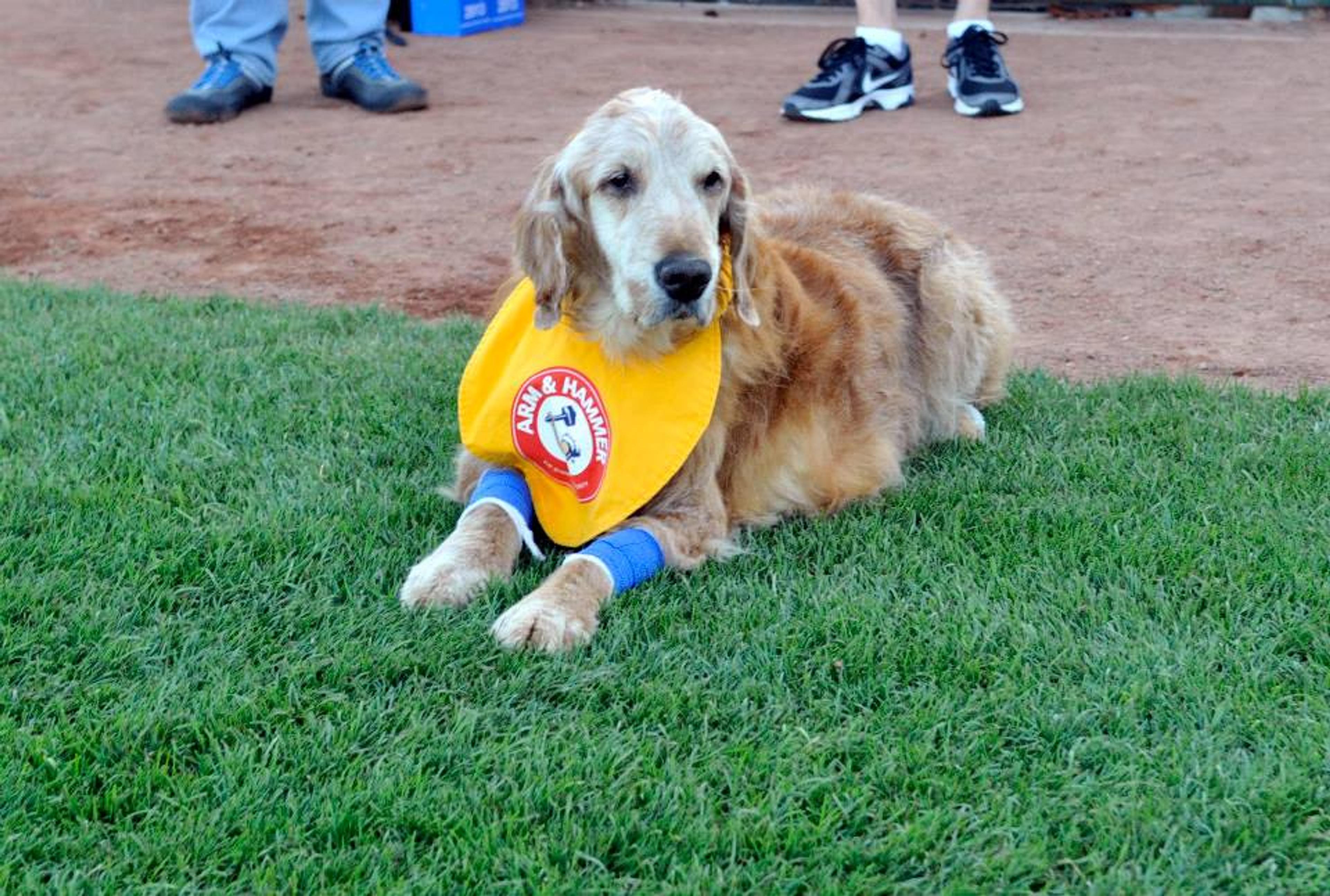 Trenton Loses Face of the Franchise to Retirement