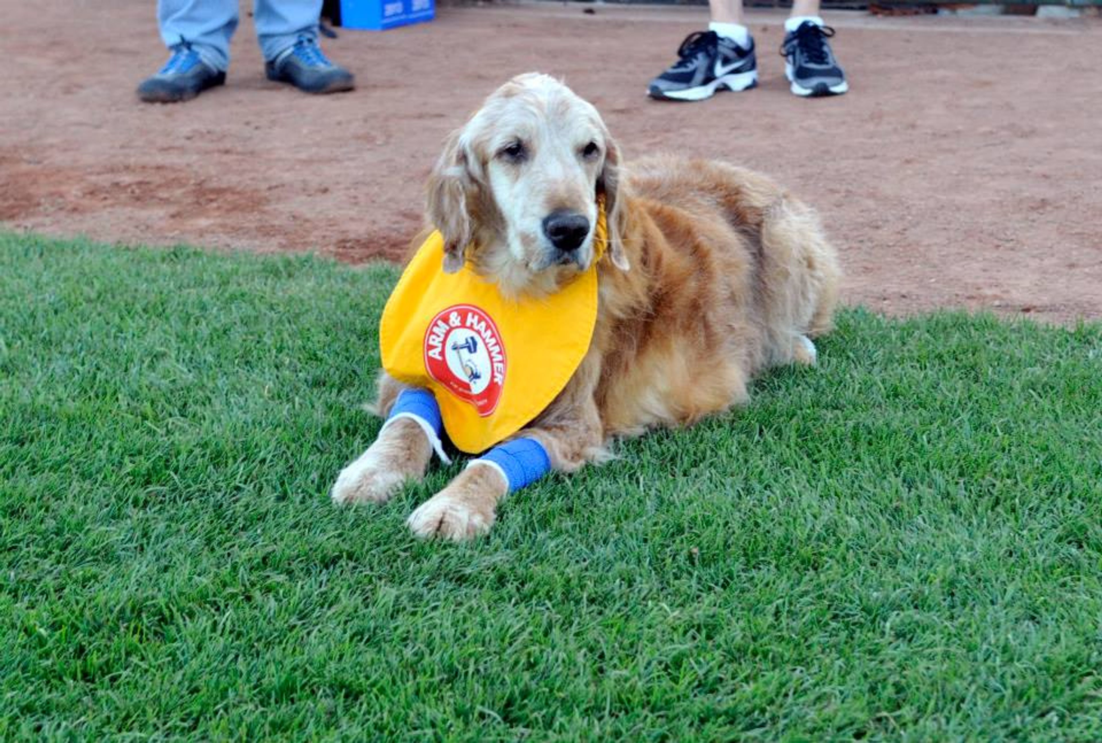 Trenton Loses Face of the Franchise to Retirement