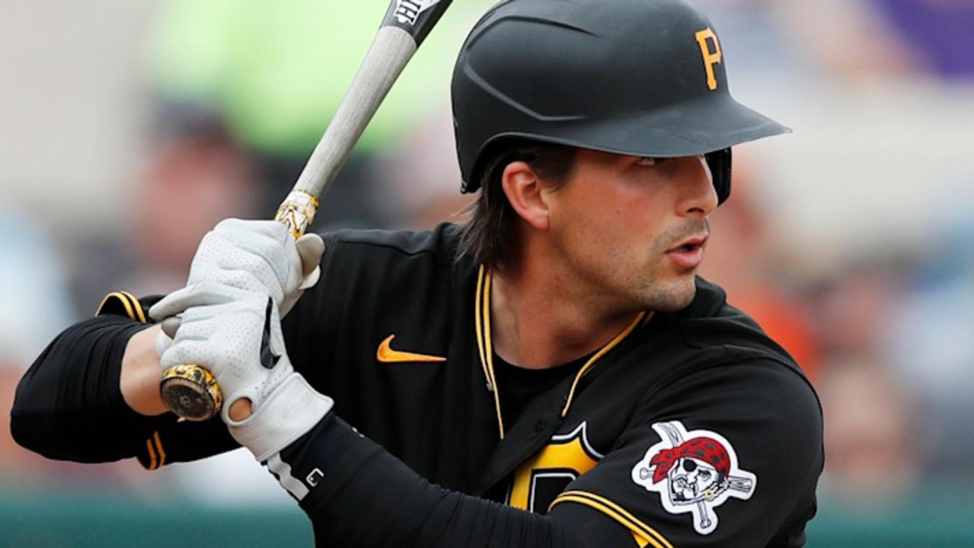 Bronx Bombers home run alert Bird bath