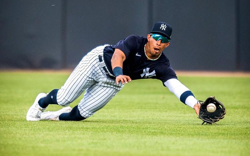 Oswaldo makes a diving catch