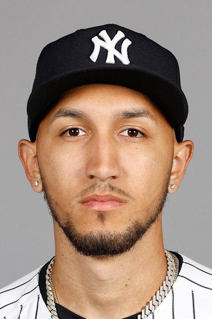 Elmer Rodríguez headshot, New York Yankees