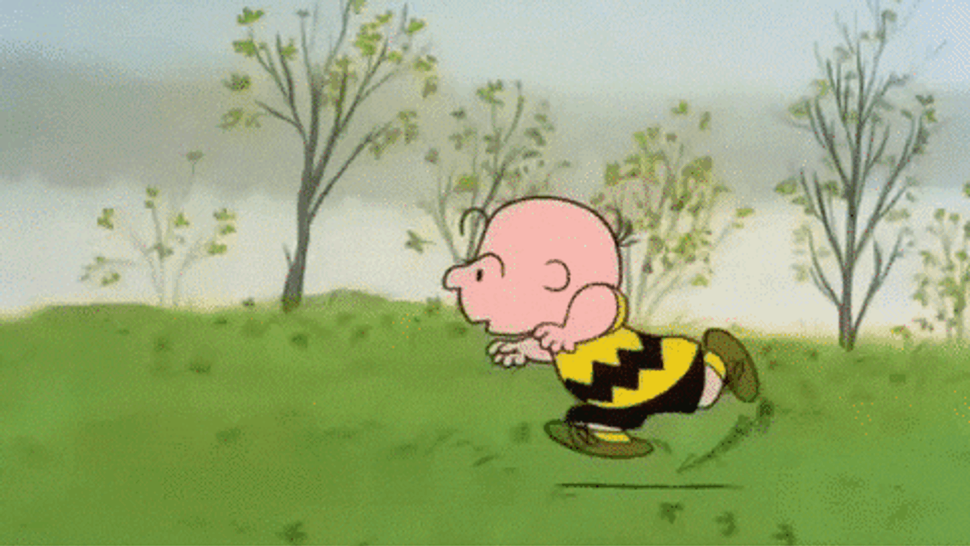 Charlie Brown Thanksgiving GIF by Peanuts - Find & Share on GIPHY