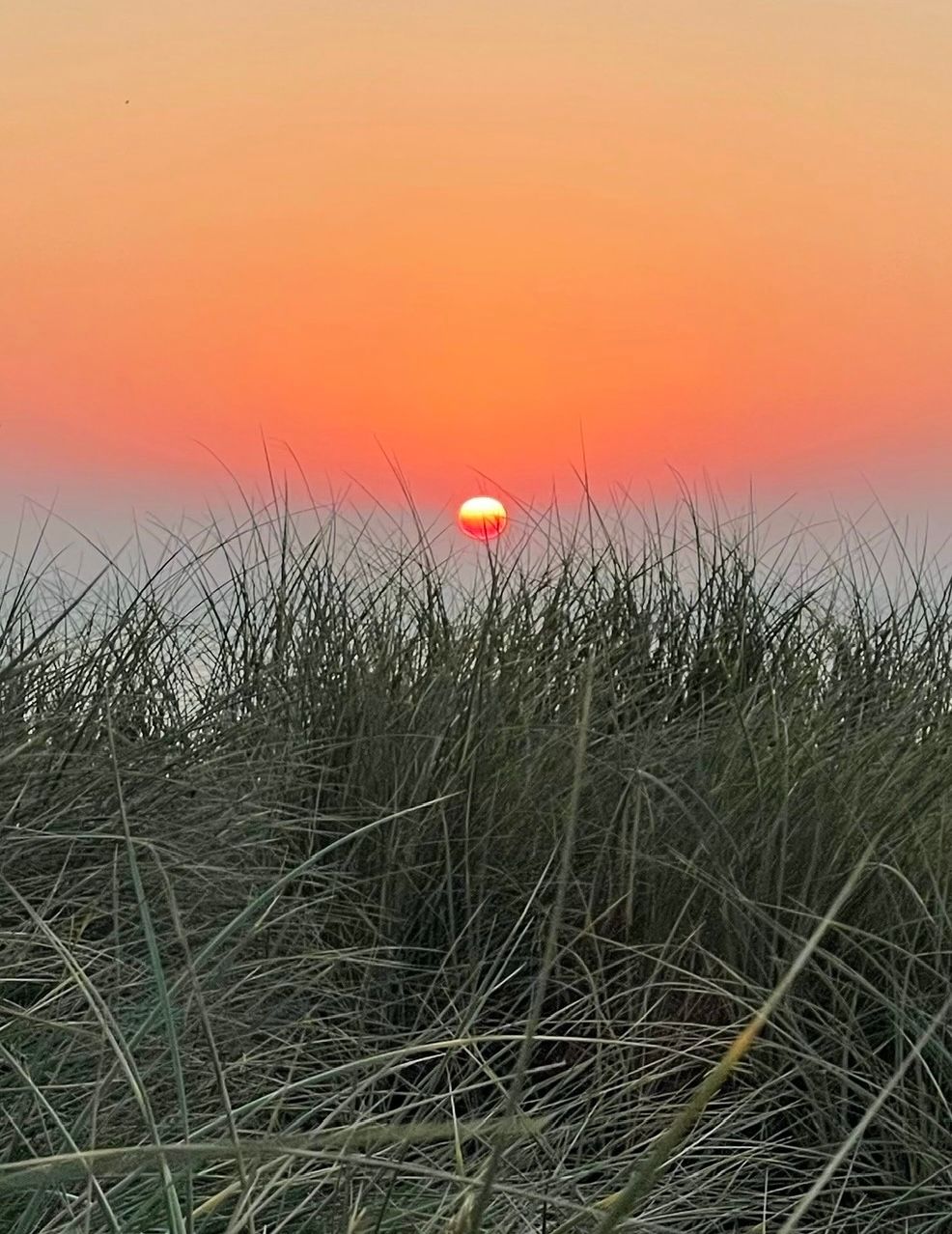mindfulness a drop of water in the ocean.
