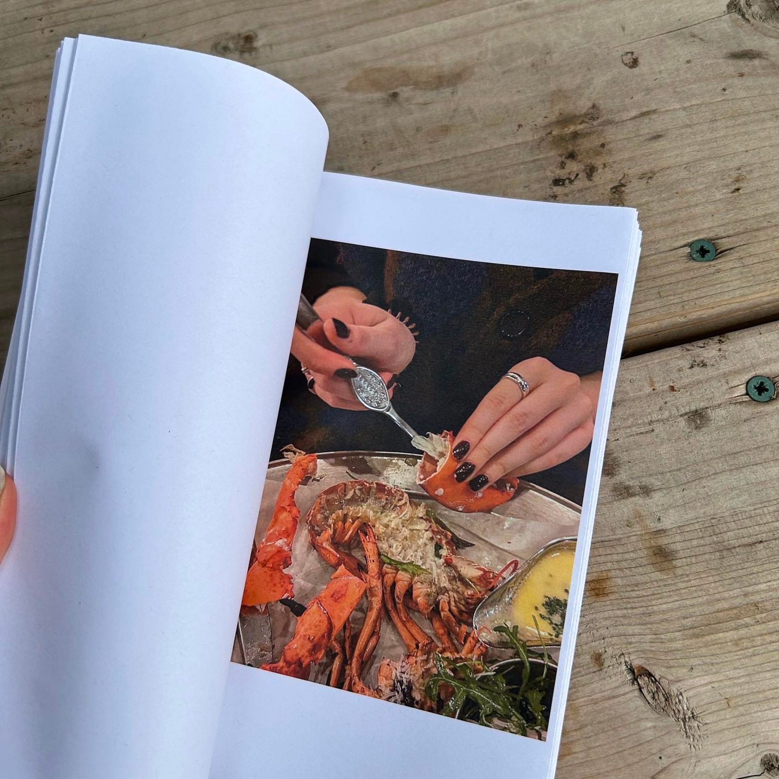 Image of open book showing a close up of hands pulling lobster meat from a claw. 