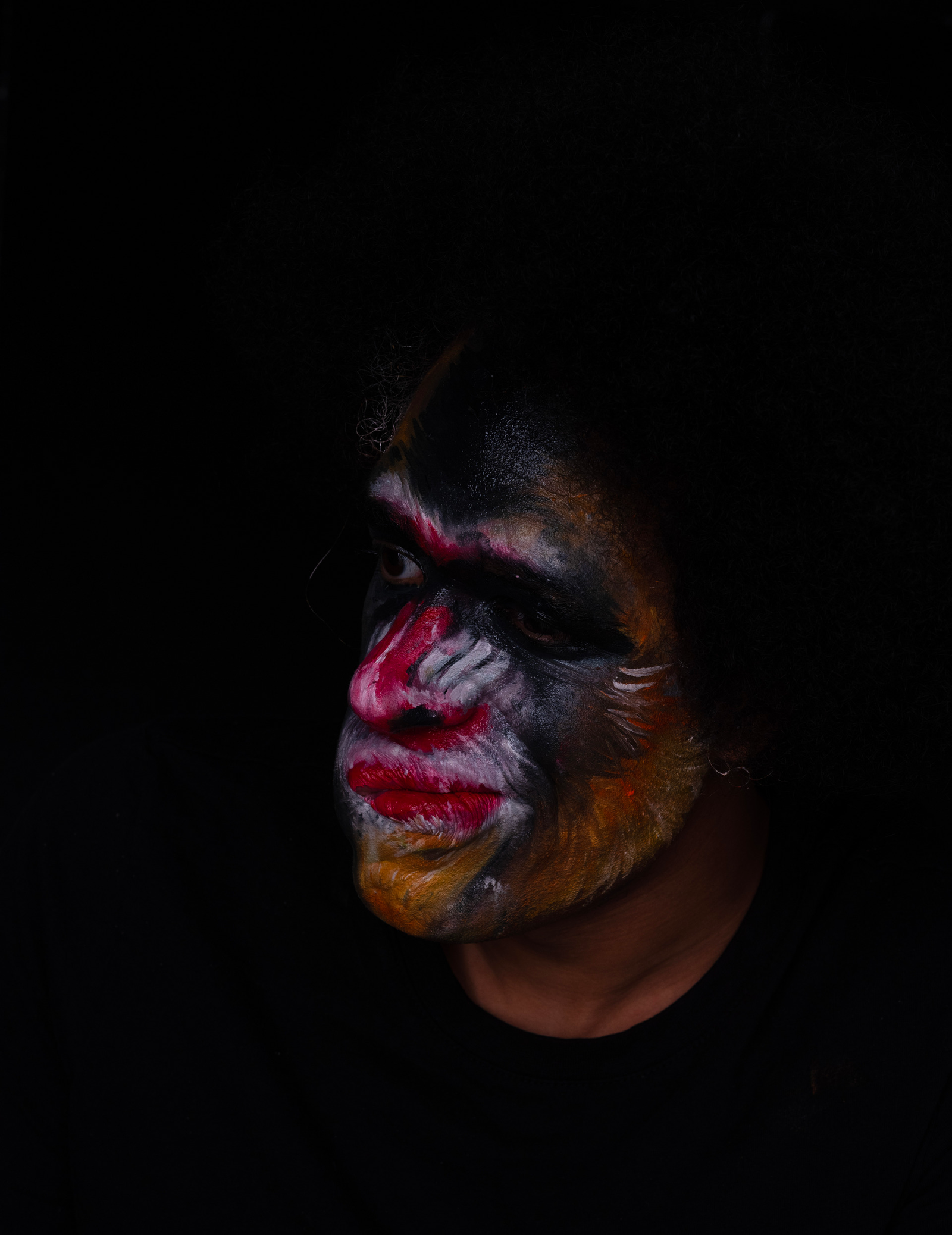 A photograph of myself, face paint as a Mandrill, in a black background