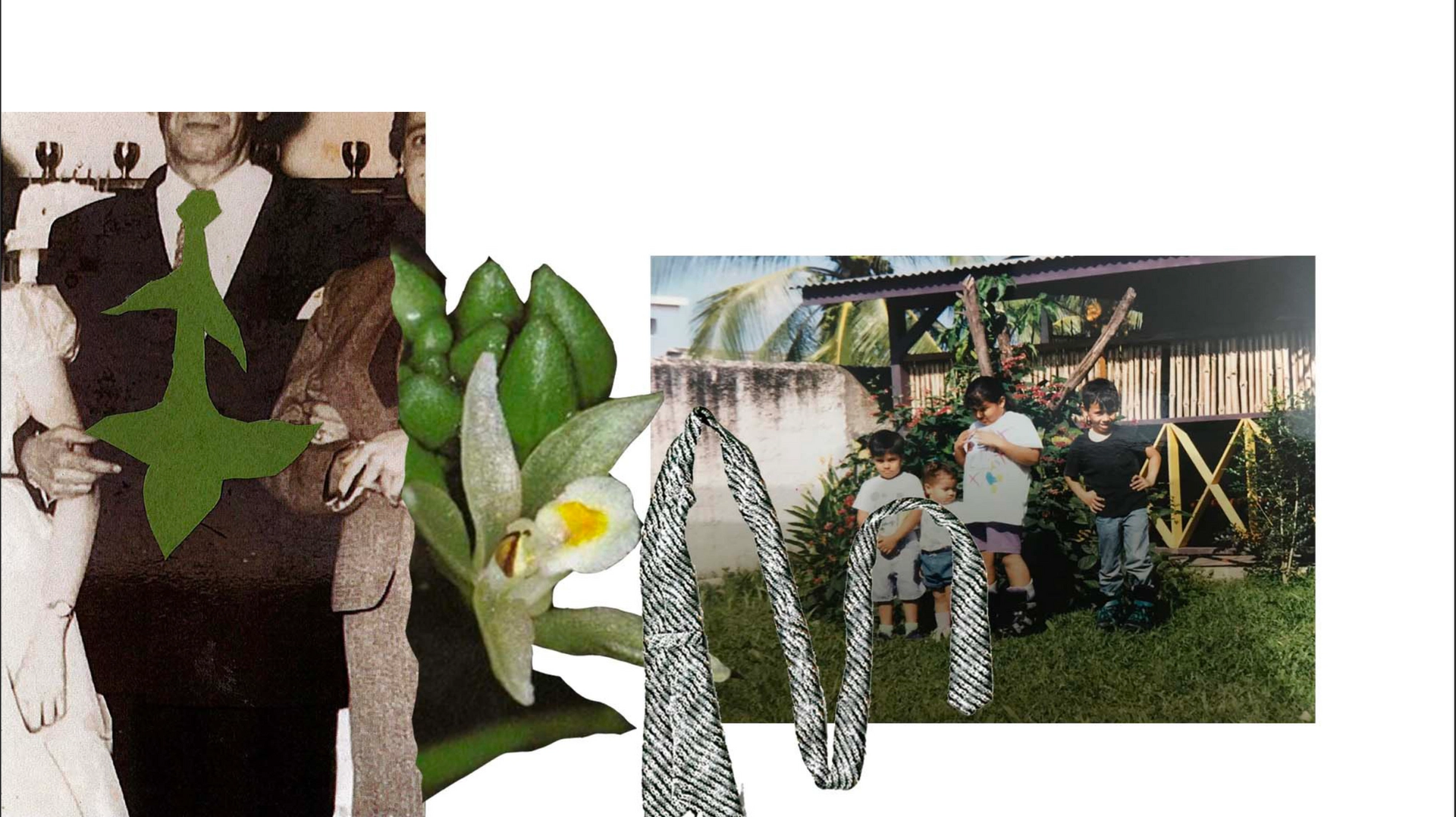 Image with white background, collage of sepia photo of a family from the 1940's, a group of children in a tropical backyard in the 1990s, floral photographs and an untied tie