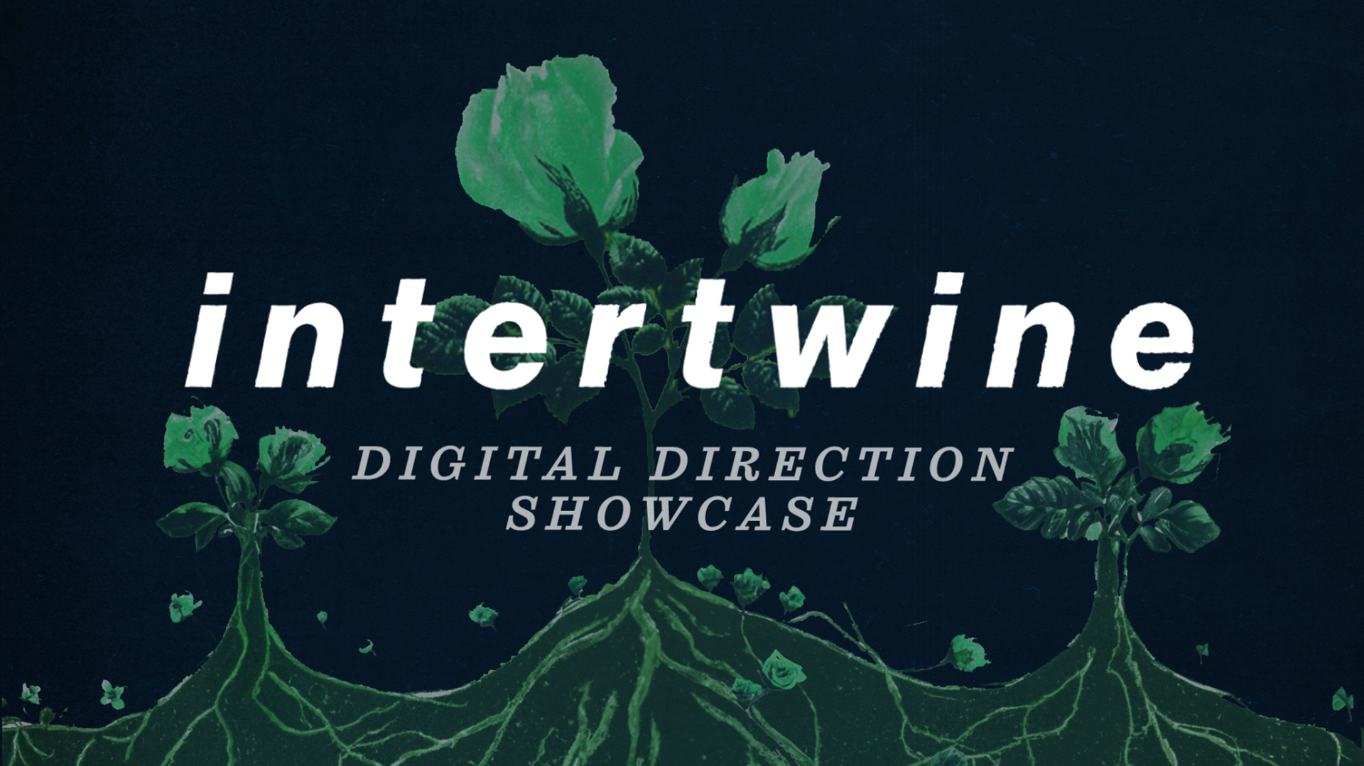 Intertwine: where ideas flow, narratives weave, and seeds of creativity take root.