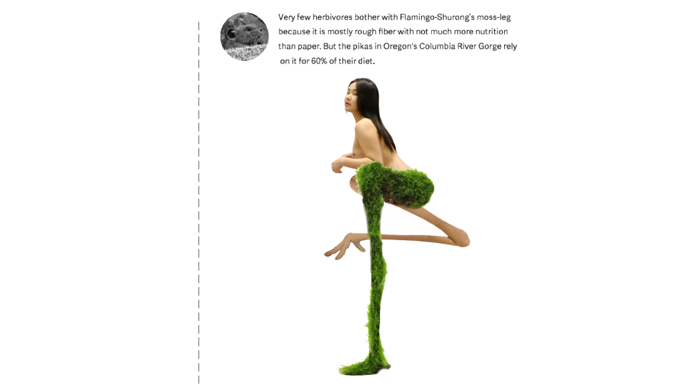 Image of a woman photoshopped with a flamingo topiary and text description