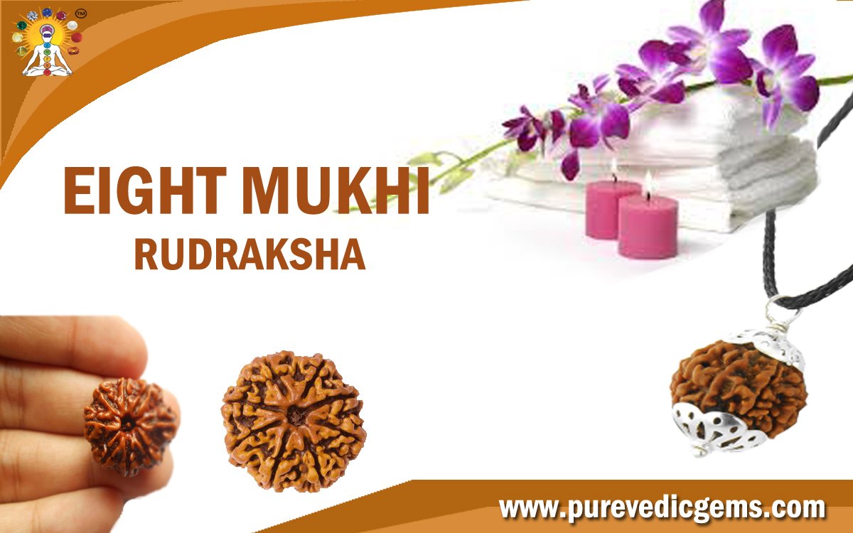 EIGHT MUKHI RUDRAKSHA (RULING PLANET RAHU)