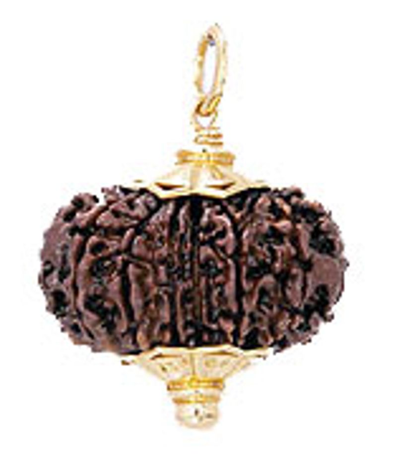 Rudraksha Pendant