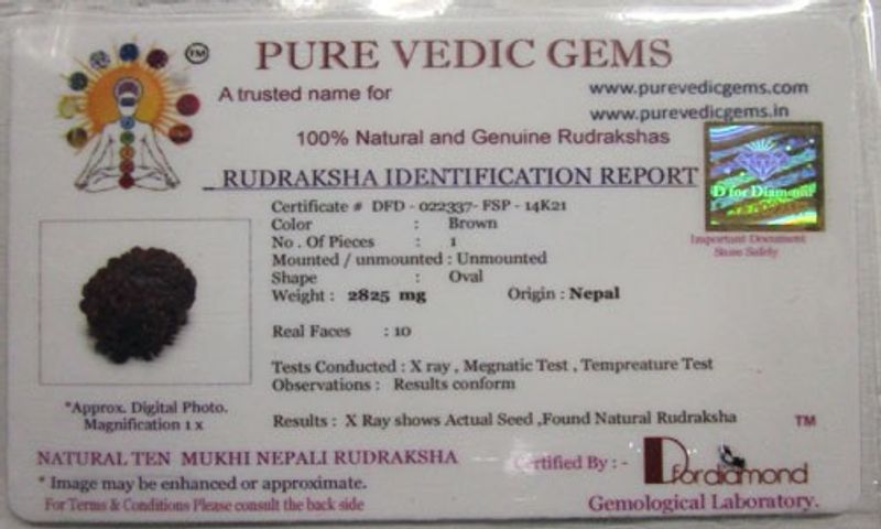 Rudraksha Certificate