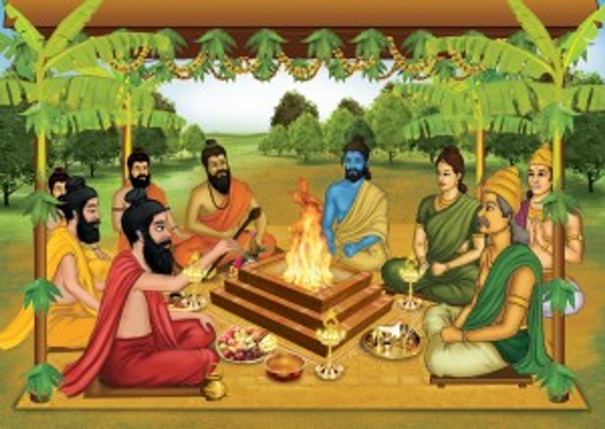 The Vedic Destiny Healing Remedies - Pure Vedic Gems