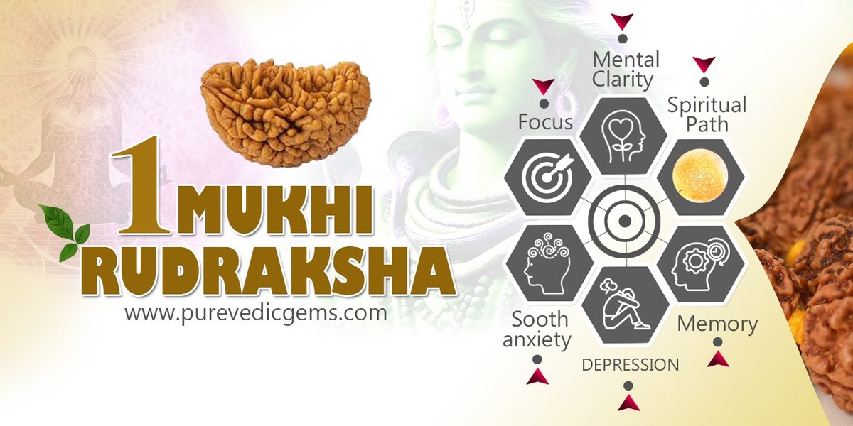 1 Mukhi Rudraksha Divine Seed of Above Consciousness and Spiritual Powers
