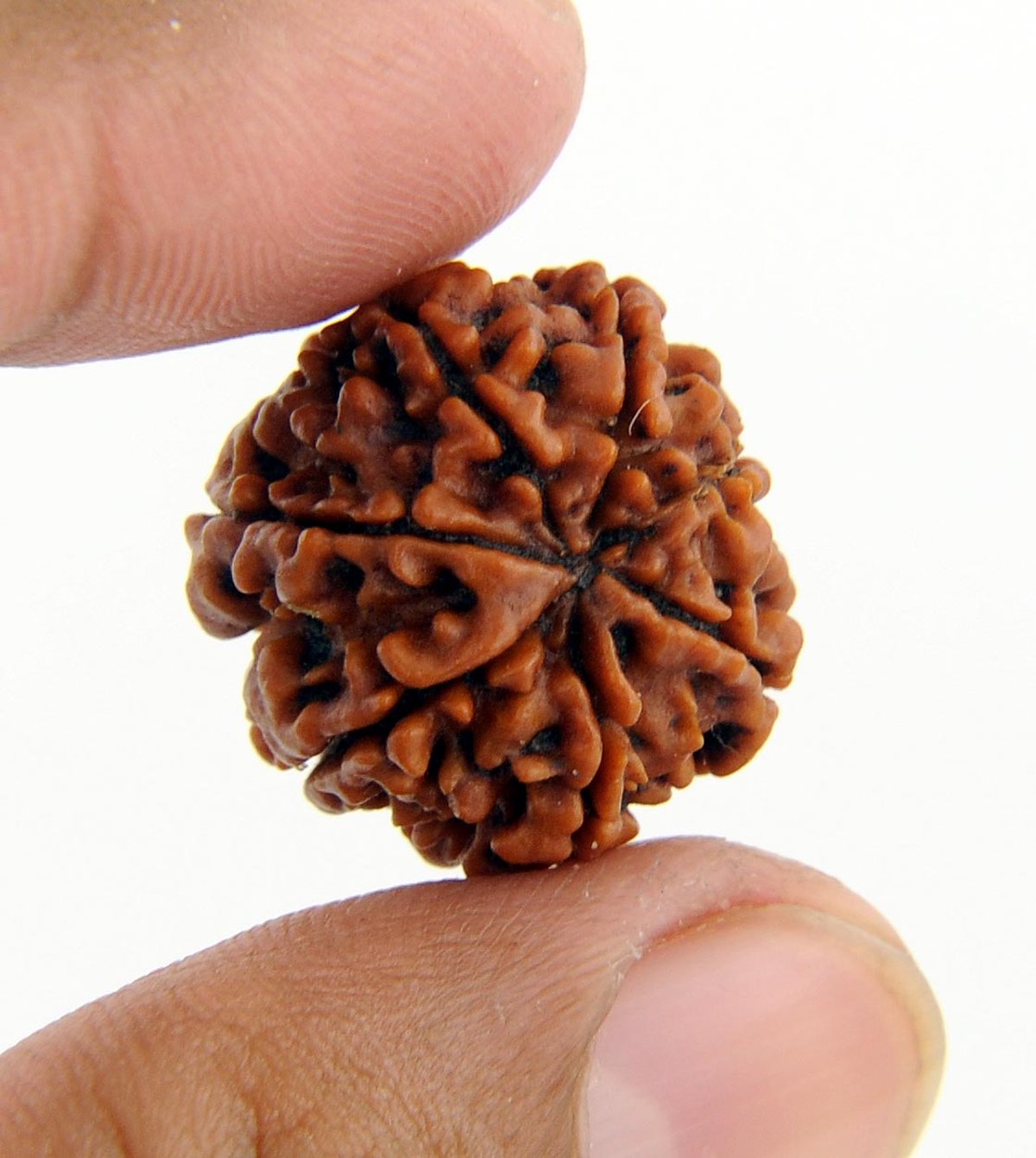 Care and Precautions of Rudraksha