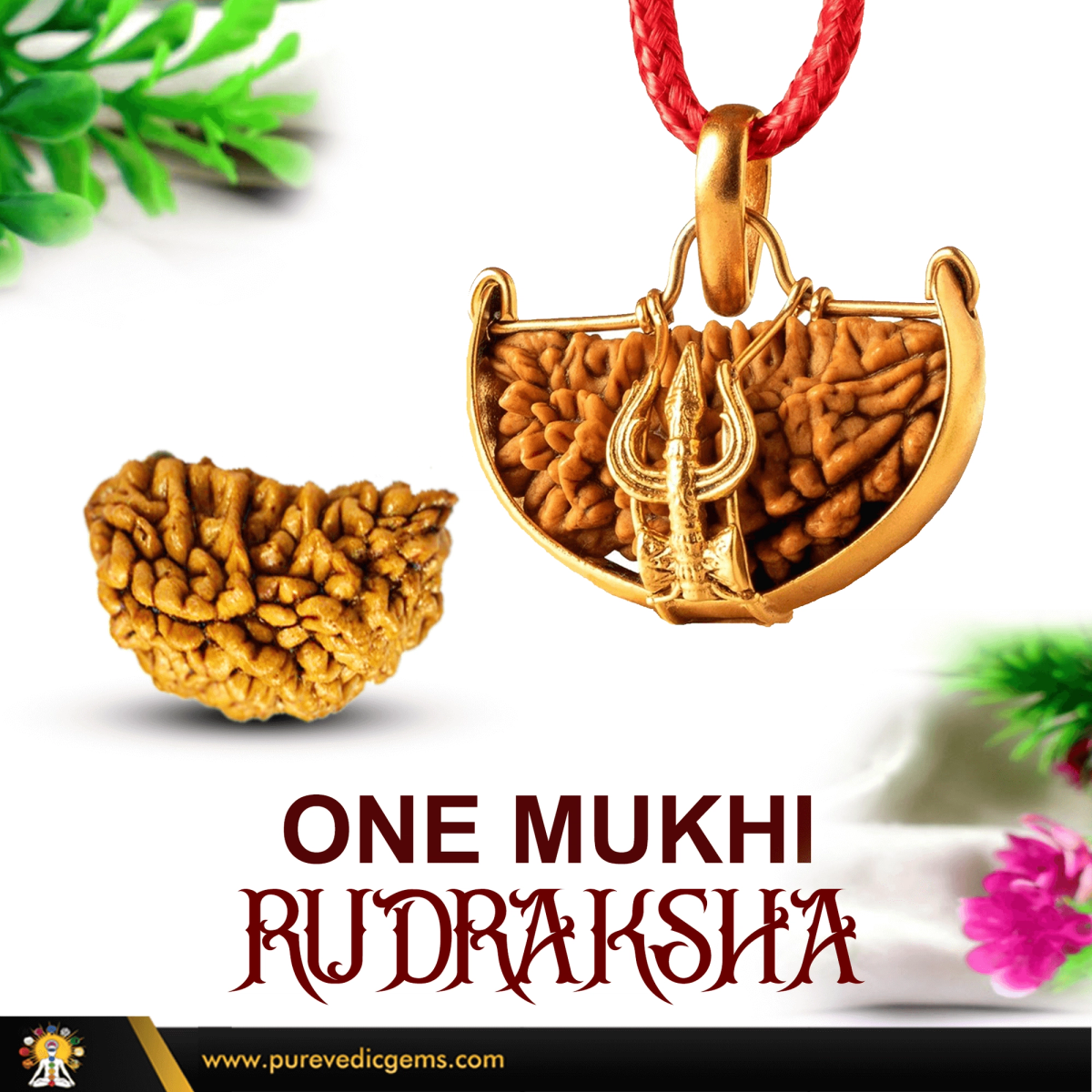 Magical and Mystical One Mukhi Rudraksha.