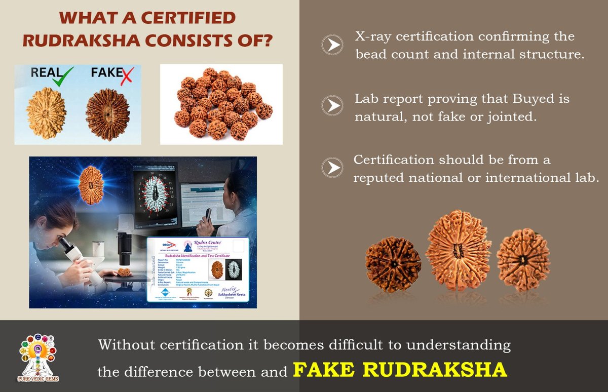 Rudraksha Buying Guide: How to Identify Natural, Certified, and Energised Rudraksha