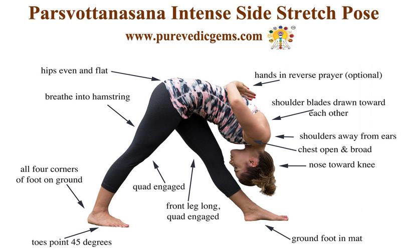 PARSVOTTANASANA