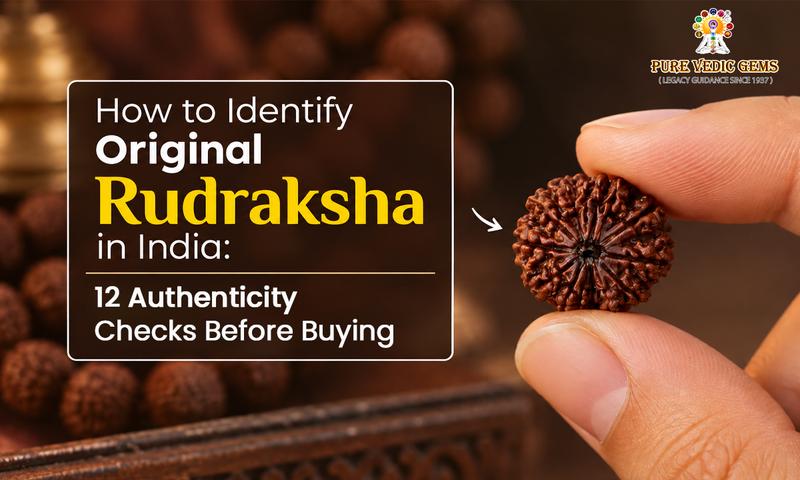 Identify Original Rudraksha in India