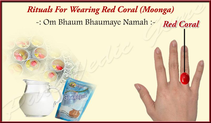 retuals red coral copy