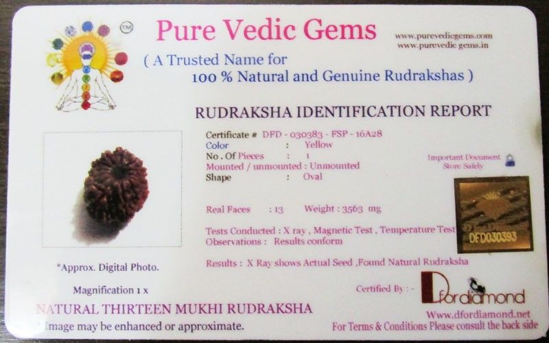 Rudraksha Certificate