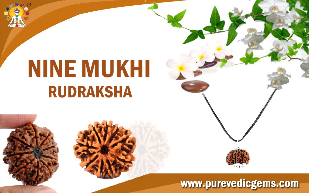 NINE MUKHI RUDRAKSHA RULING PLANET KETU