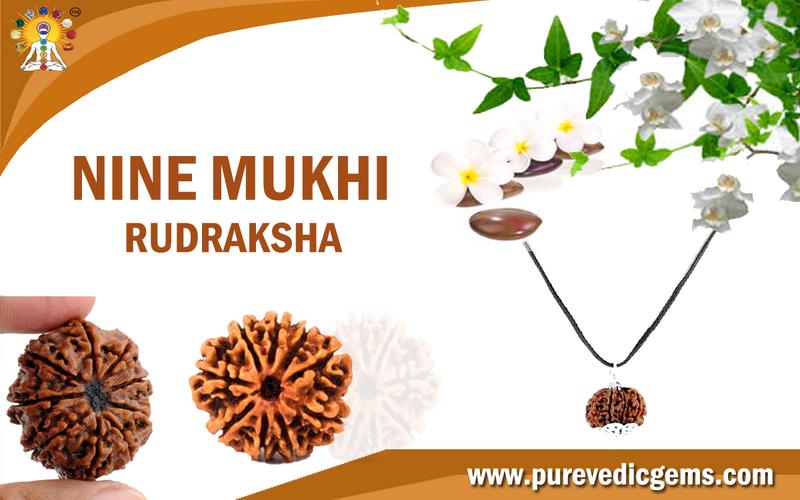 NINE MUKHI RUDRAKSHA RULING PLANET KETU