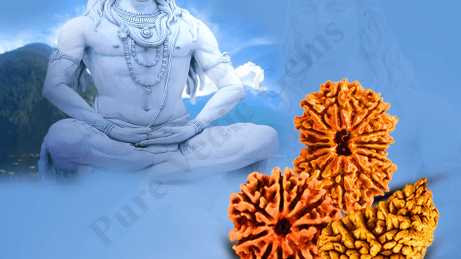 Rudraksha, Pranayam and Yog