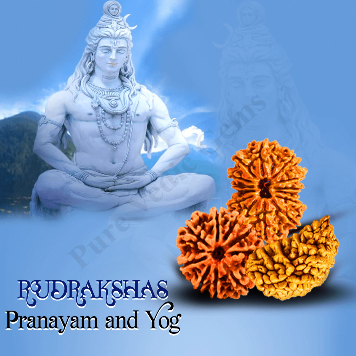 Rudraksha, Pranayam and Yog