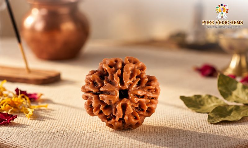certified Rudraksha online