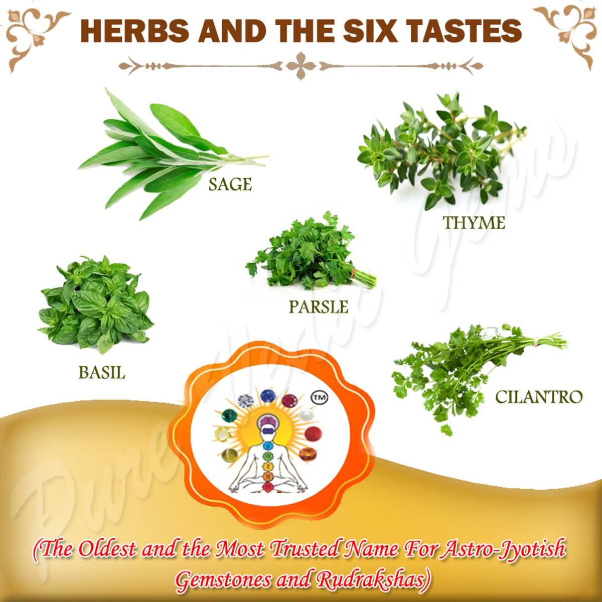 Herbs and the Six Tastes