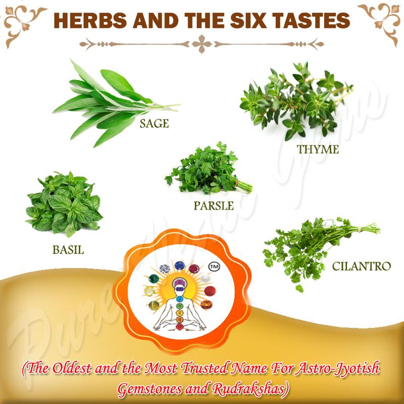 Herbs and the Six Tastes