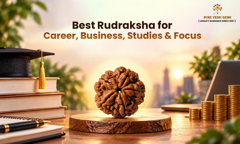 best rudraksha for career