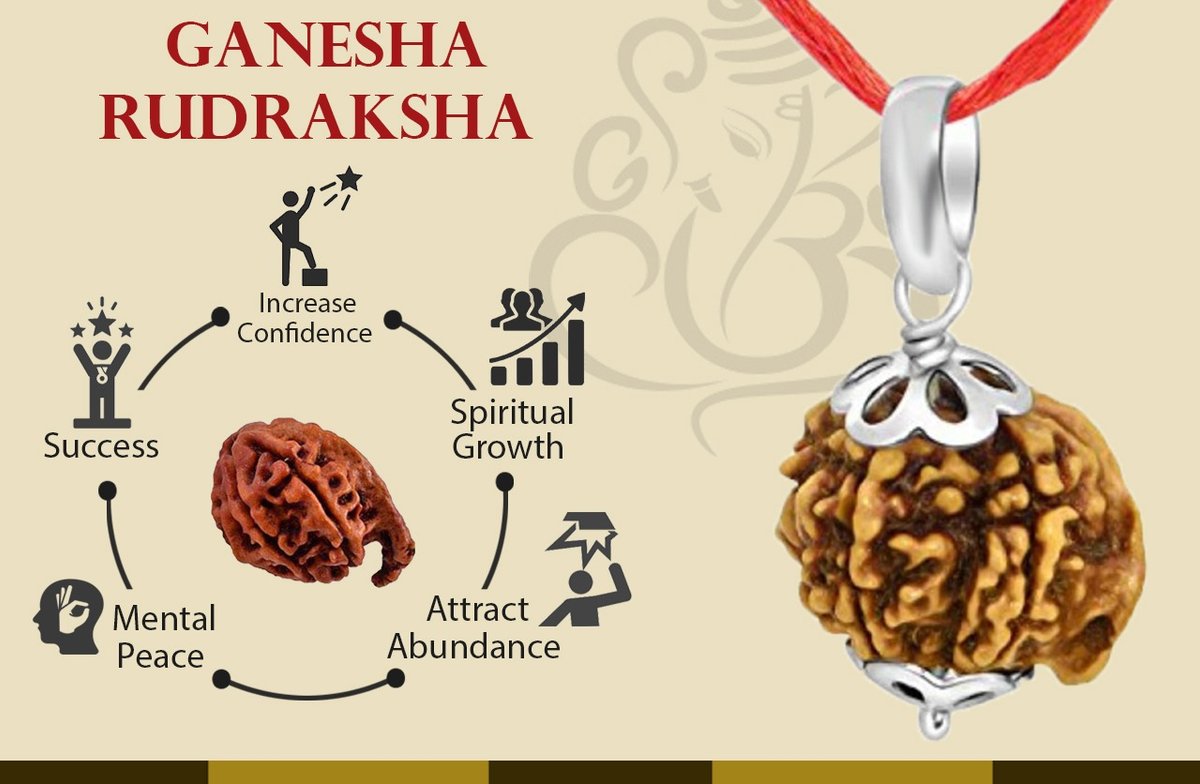 Ganesh Rudraksha The Divine Bead of Wisdom, Success, and Obstacle Removal