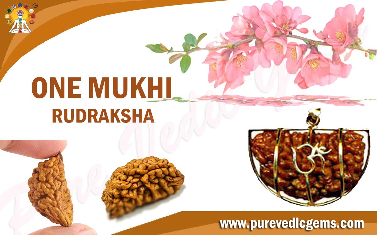 ONE MUKHI RUDRAKSHA (RULING PLANET SUN)