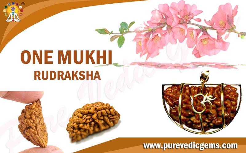 ONE MUKHI RUDRAKSHA (RULING PLANET SUN)