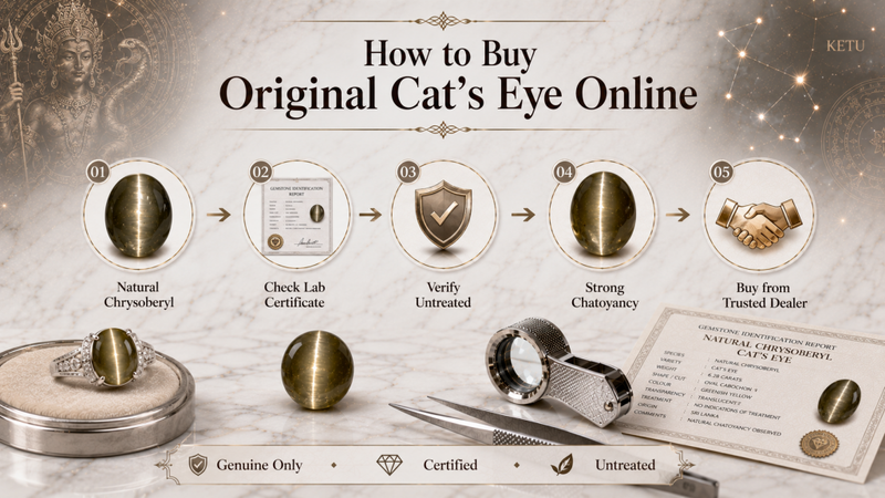 how to buy original catseye online