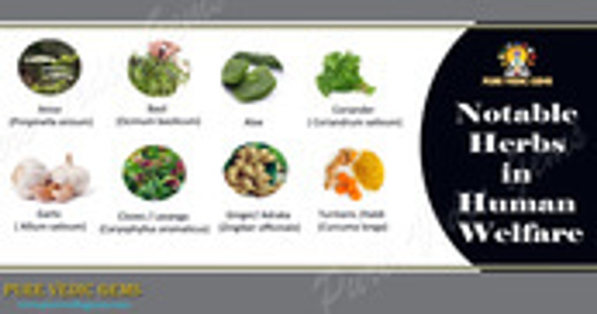 Notable Herbs in Human Welfare