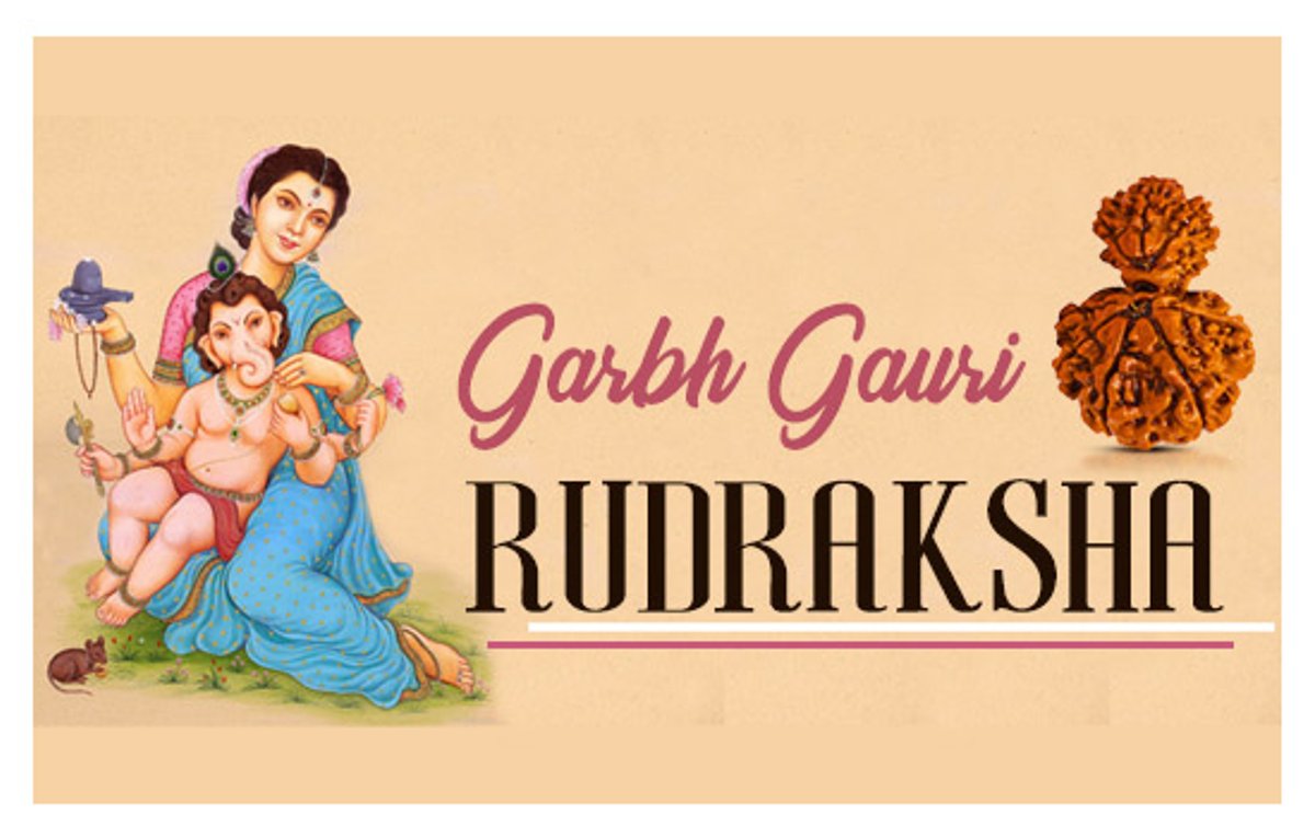 Garbh Gauri Rudraksha.