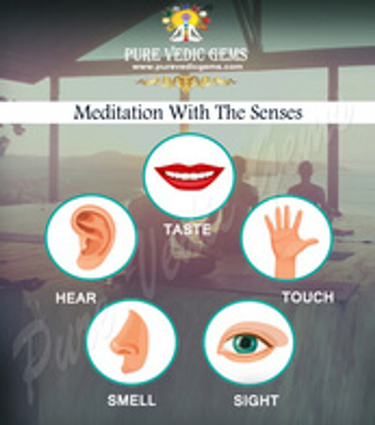 Meditation with the senses