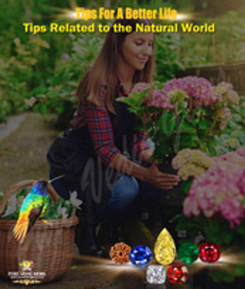 Tips Related to the Natural World