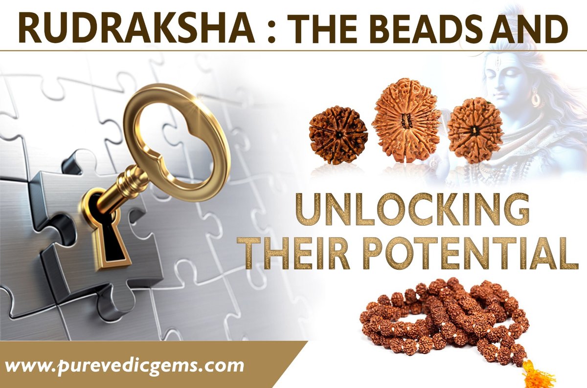 Rudraksha Chakra Properties in Astrology, Healing, and Spiritual Strength