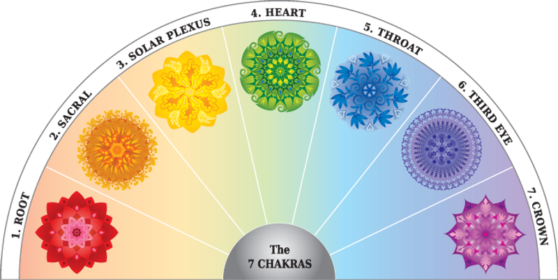 The Chakras