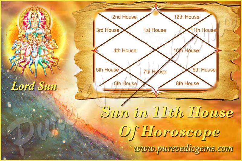 SUN IN THE 11th HOUSE OF HOROSCOPE