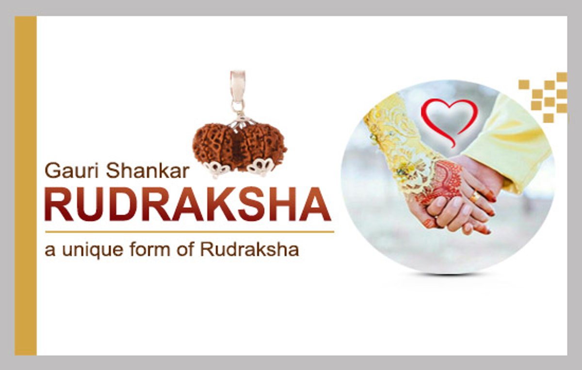 Gauri Shankar Rudraksha, a unique form of Rudraksha.