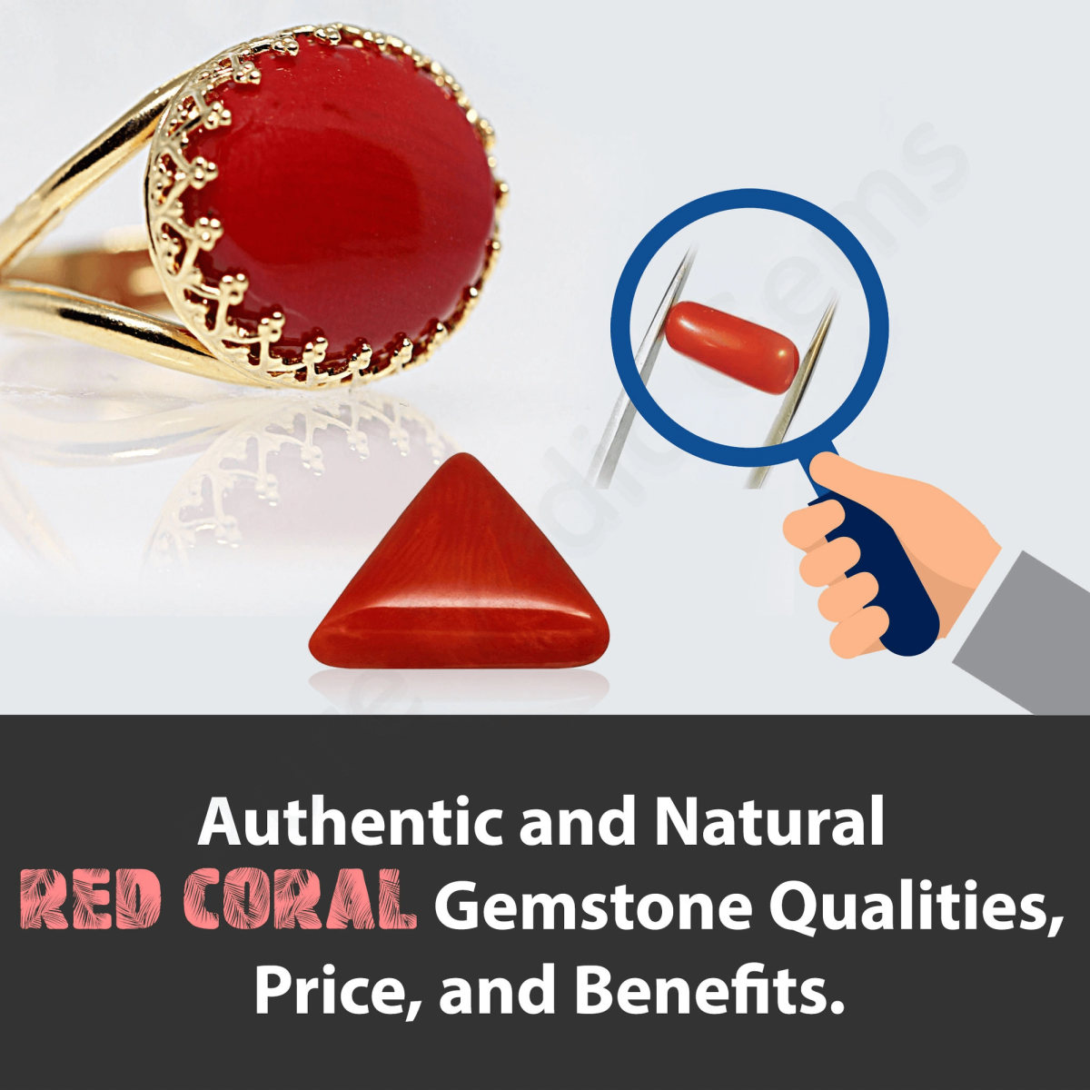 Authentic and Natural Red Coral gemstone Qualities, Price, and Benefits.